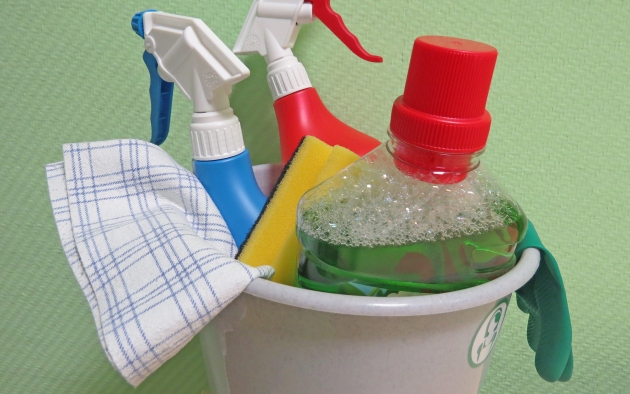 Cleaning Products in Bucket